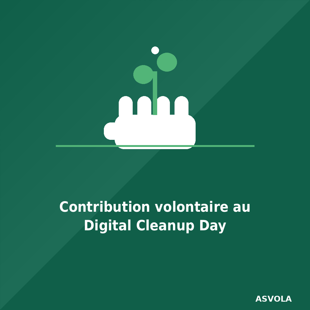 Contribution volontaire au Digital Cleanup Day (INR)